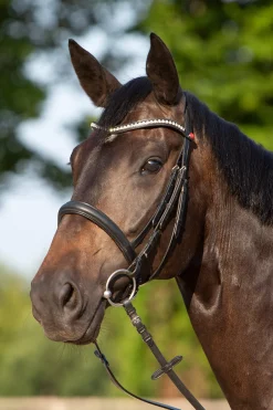 Sale Ultrasoft® Sue Bridle Pony Bridles & Halters|Bridles & Nosebands