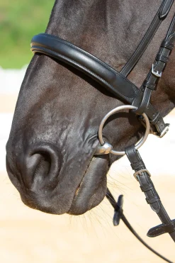 Sale Ultrasoft® Sue Bridle Pony Bridles & Halters|Bridles & Nosebands