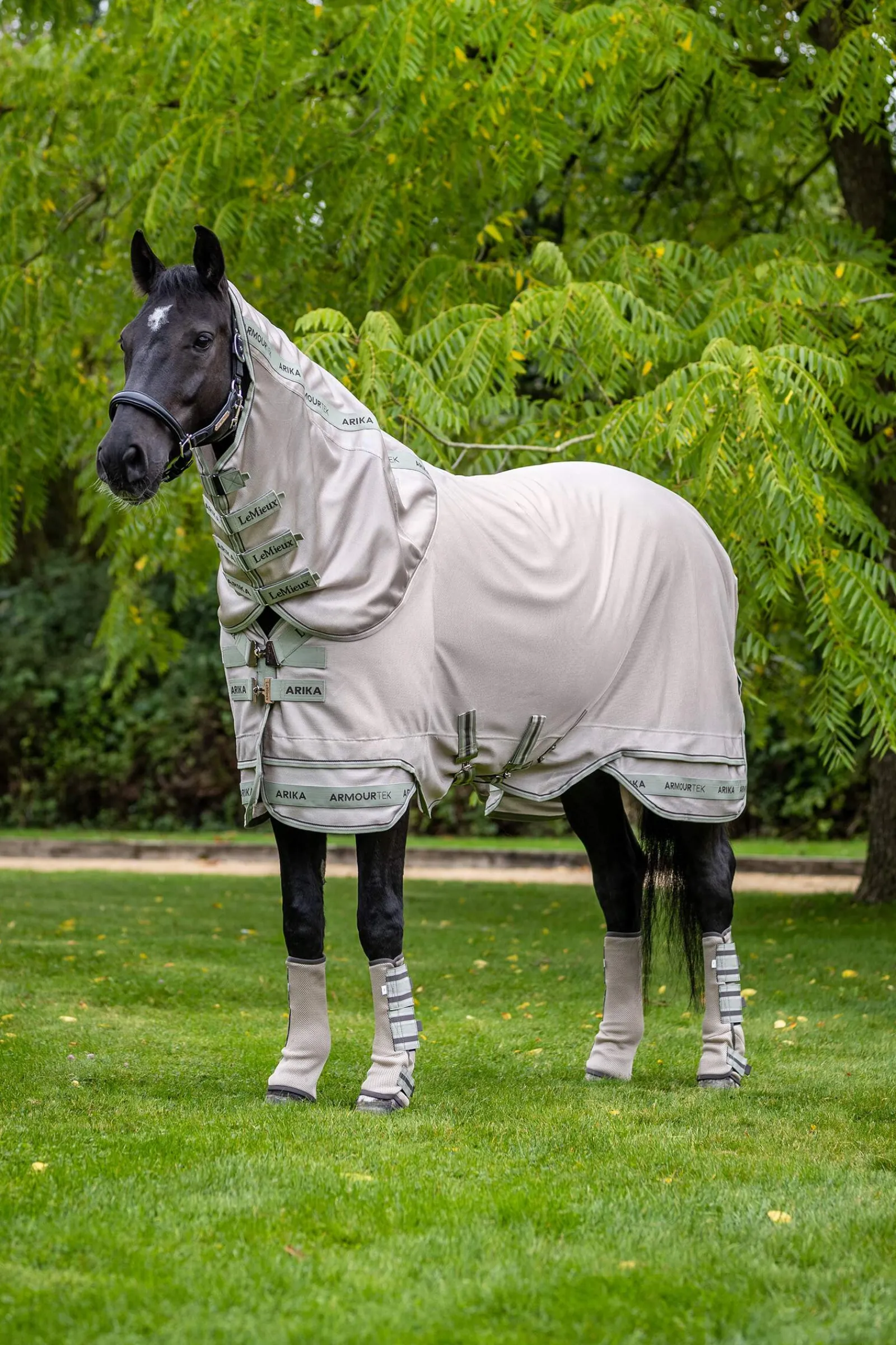 Best Arika Armour-Tek Fly Rug With Detachable Neck Fly Rugs|Fly Rugs