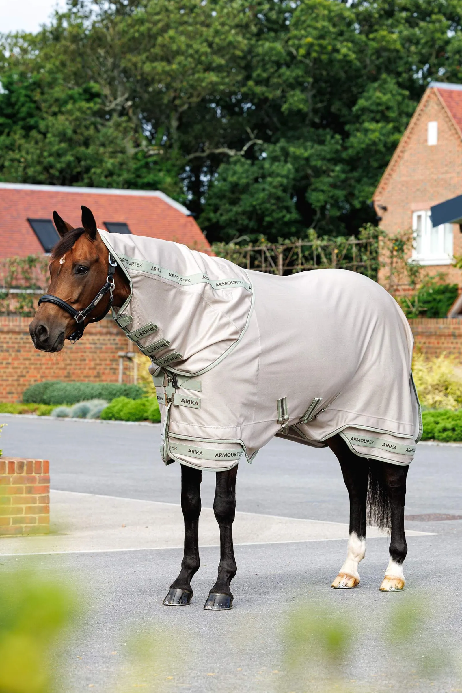 Best Arika Armour-Tek Fly Rug With Detachable Neck Fly Rugs|Fly Rugs