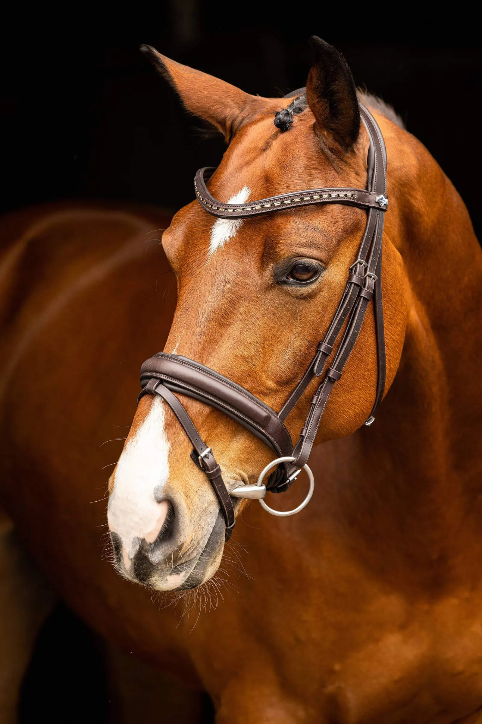 Hot Arika Dressage Bridle Pony Bridles & Halters|Bridles & Nosebands