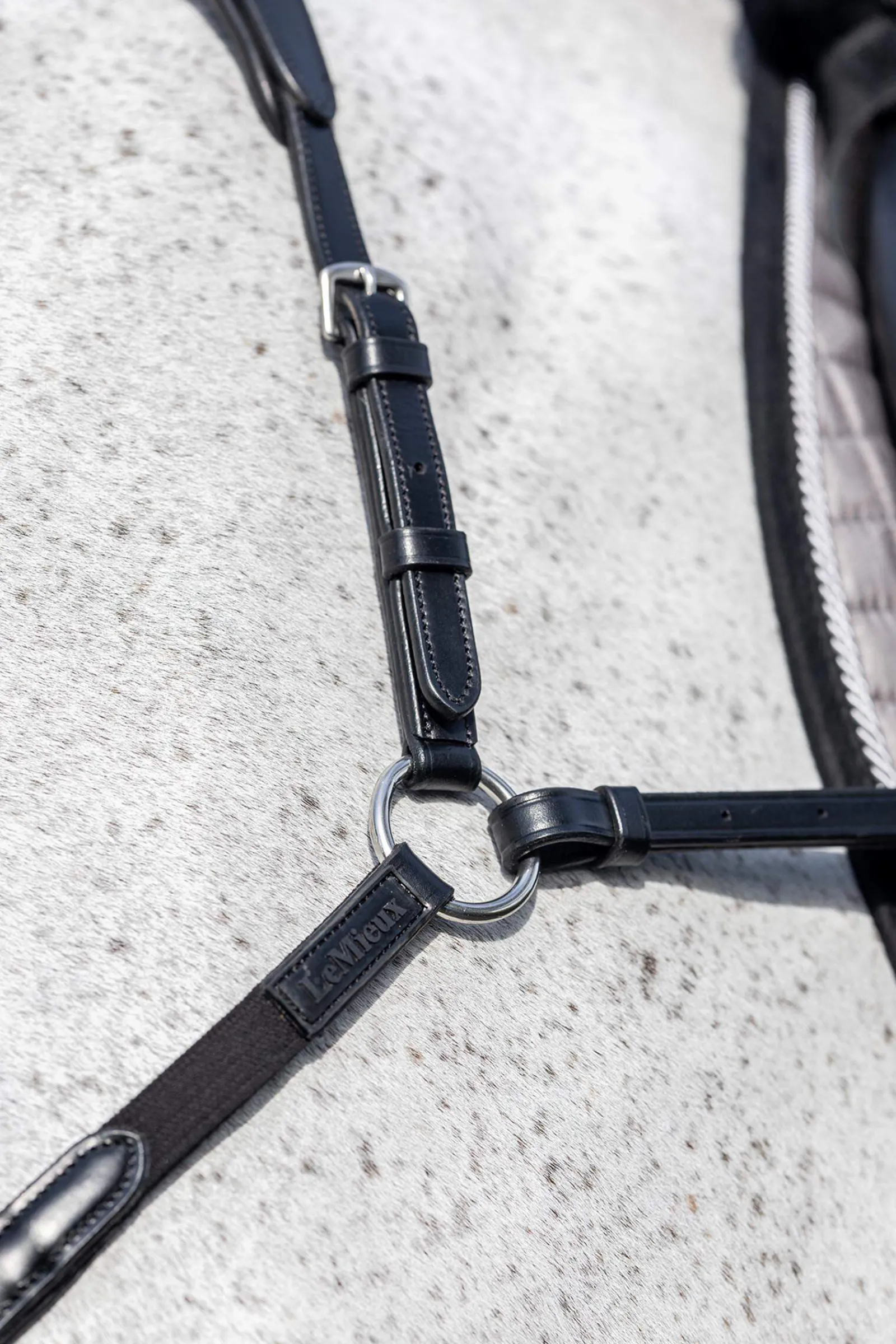 Online Breastplate With Detachable Martingale Breastplates