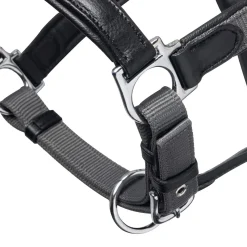 Fashion Capella Headcollar Headcollars & Halters