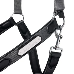 Fashion Capella Headcollar Headcollars & Halters