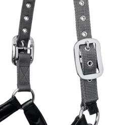 Fashion Capella Headcollar Headcollars & Halters