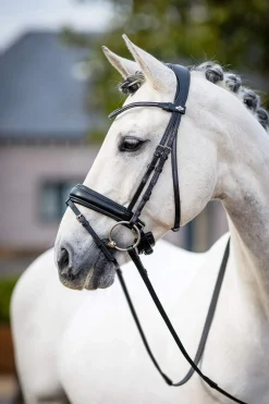 Fashion Classic Dressage Bridle Pony Bridles & Halters|Bridles & Nosebands