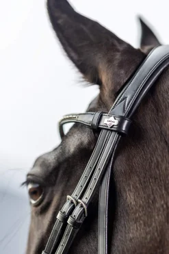 Fashion Classic Dressage Bridle Pony Bridles & Halters|Bridles & Nosebands