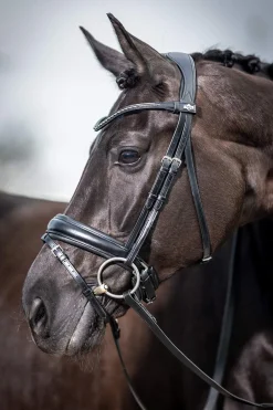 Fashion Classic Dressage Bridle Pony Bridles & Halters|Bridles & Nosebands