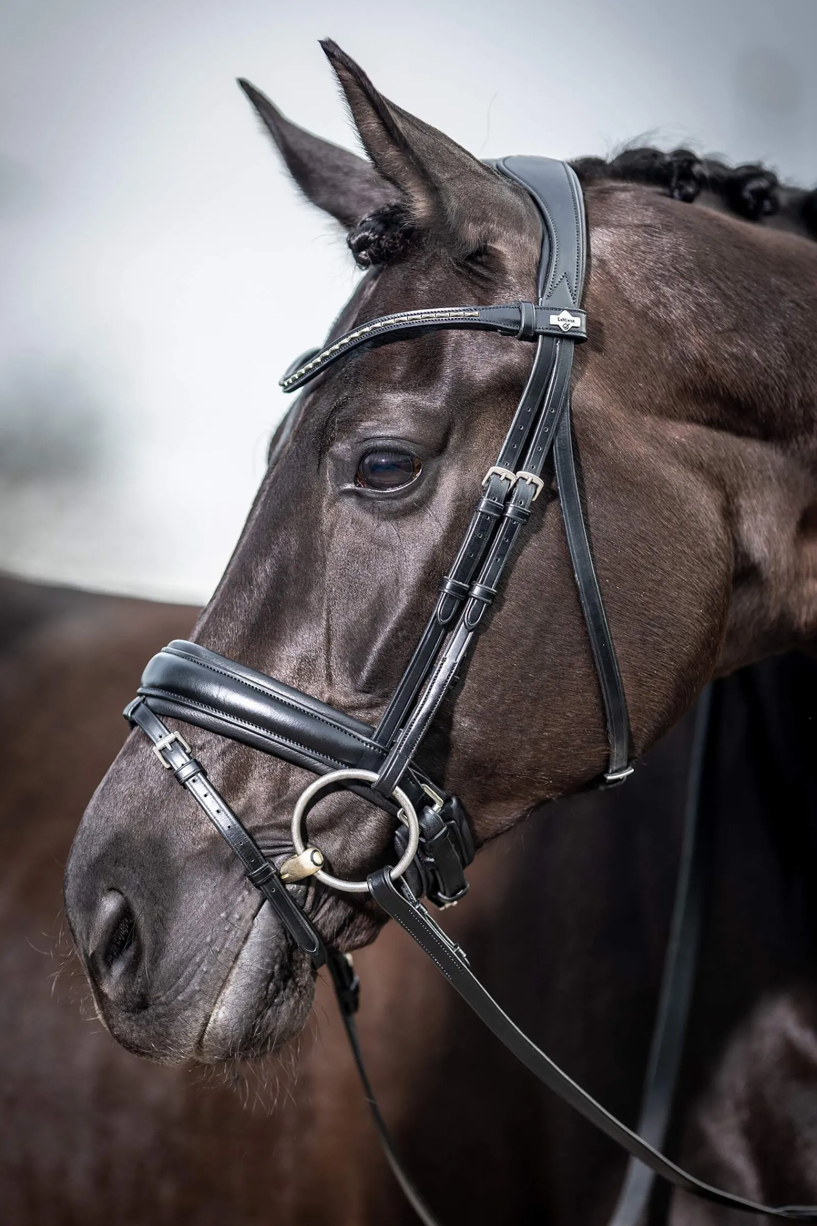 Fashion Classic Dressage Bridle Pony Bridles & Halters|Bridles & Nosebands