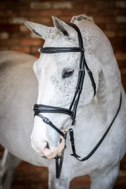 Best Competiton Flash Bridle Pony Bridles & Halters|Bridles & Nosebands
