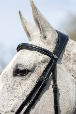Best Competiton Flash Bridle Pony Bridles & Halters|Bridles & Nosebands