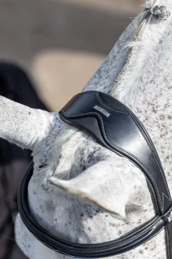 Best Competiton Flash Bridle Pony Bridles & Halters|Bridles & Nosebands