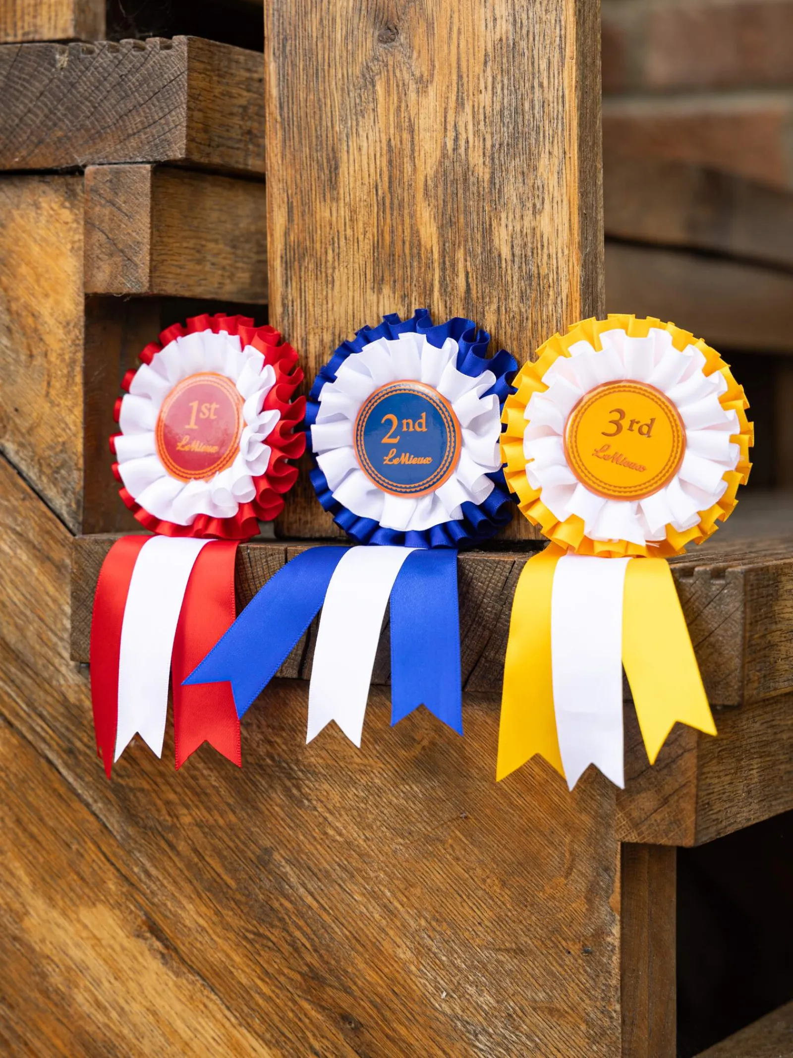 Clearance Hobby Horse Rosette Pack Gifts & Horse Toys