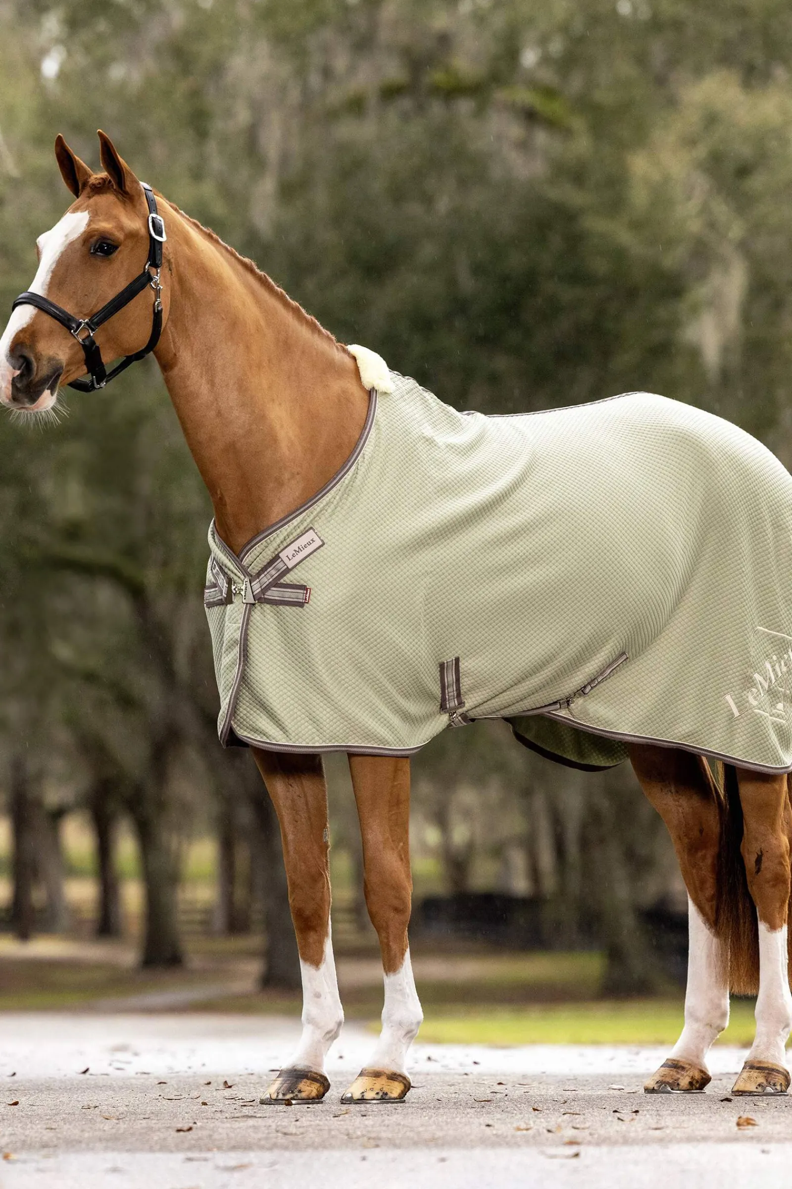 Outlet Kudos Bamboo Cooler Fleece Horse Rugs & Cooler Rugs