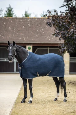 Best Kudos 3D Mesh Travel Rug Stable Rugs & Liners