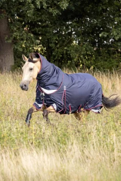Best Kudos Lightweight Turnout Rug, 50g Lightweight Turnout Rugs
