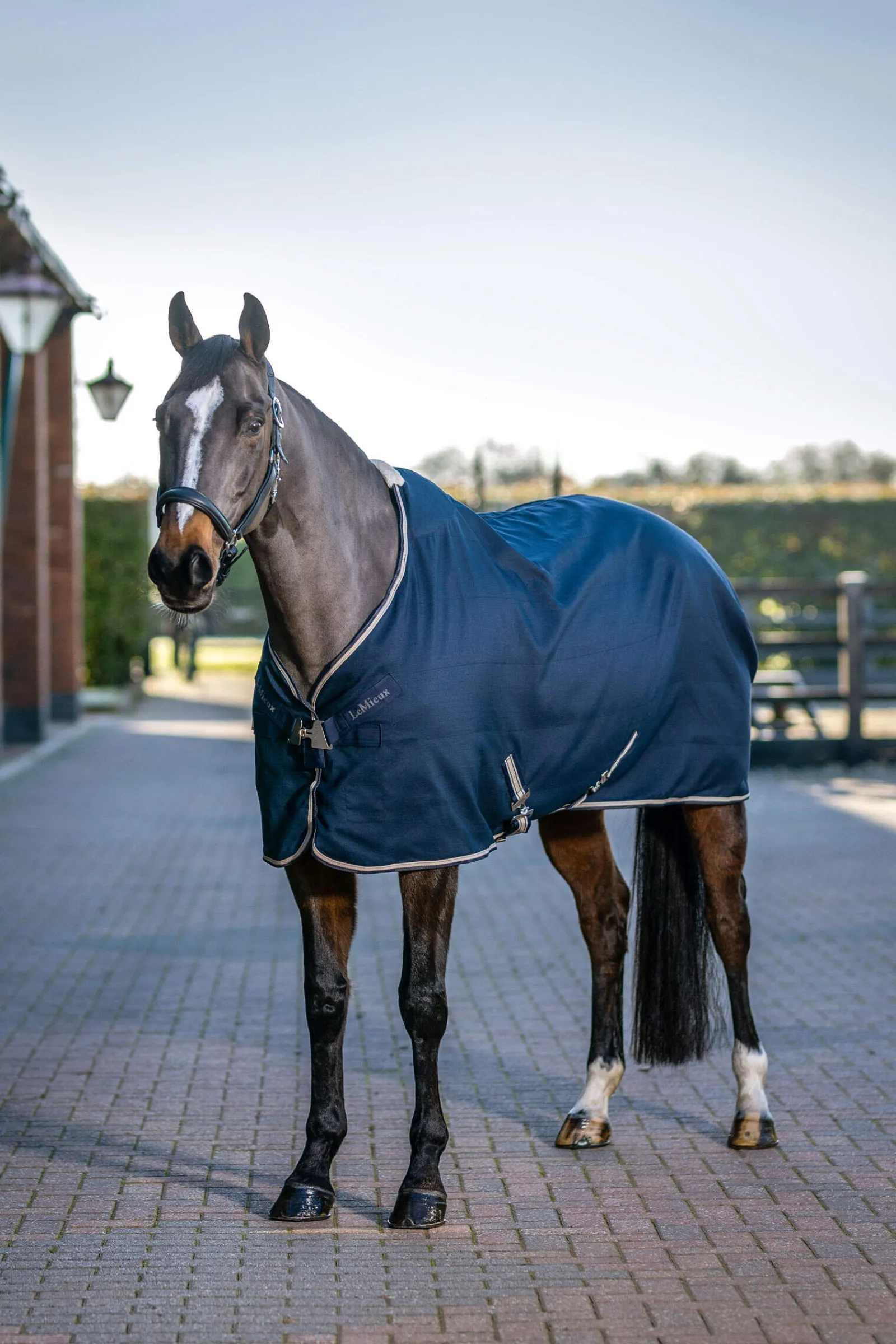 Best Kudos Stable Sheet, 0g Stable Rugs & Liners