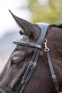 Clearance Kudos Work Bridle Pony Bridles & Halters|Bridles & Nosebands