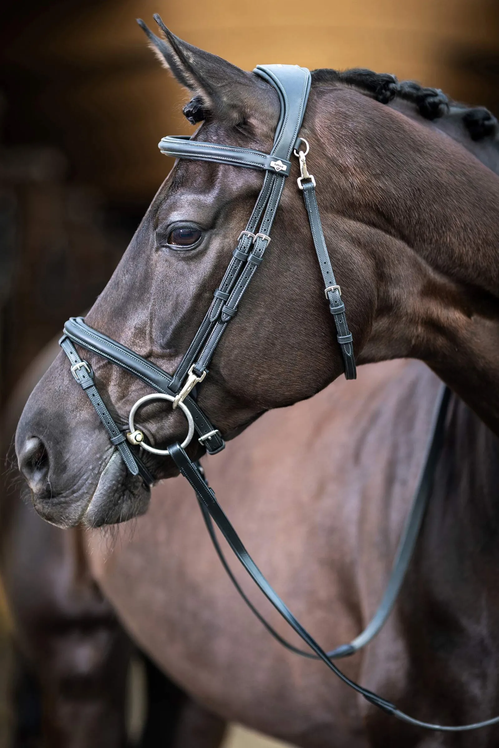 Clearance Kudos Work Bridle Pony Bridles & Halters|Bridles & Nosebands