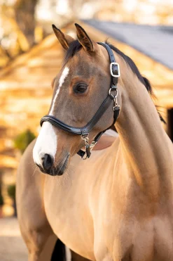 Best Leather Grooming Headcollar Leather Headcollars