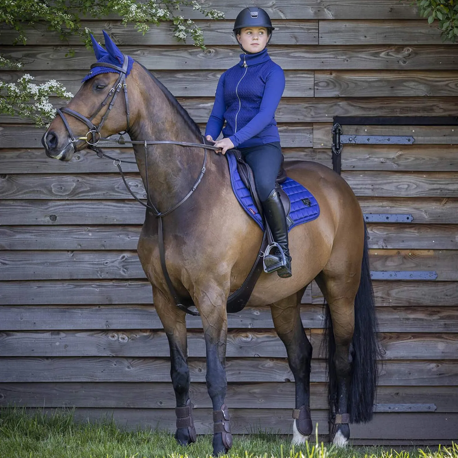 Clearance Loire Classic Square CC Jumping Saddle Pad Pony Saddle Pads|All Purpose & Jumping Saddle Pads