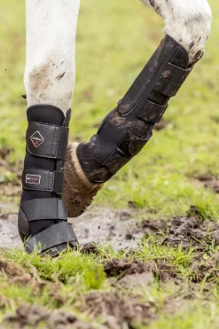 Best Turnout Boots Horse Boots