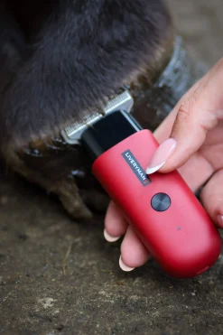 Outlet Robin Equine Trimmer Clipping & Trimming