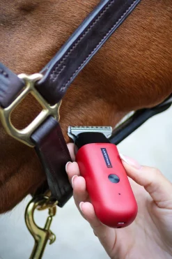 Outlet Robin Equine Trimmer Clipping & Trimming