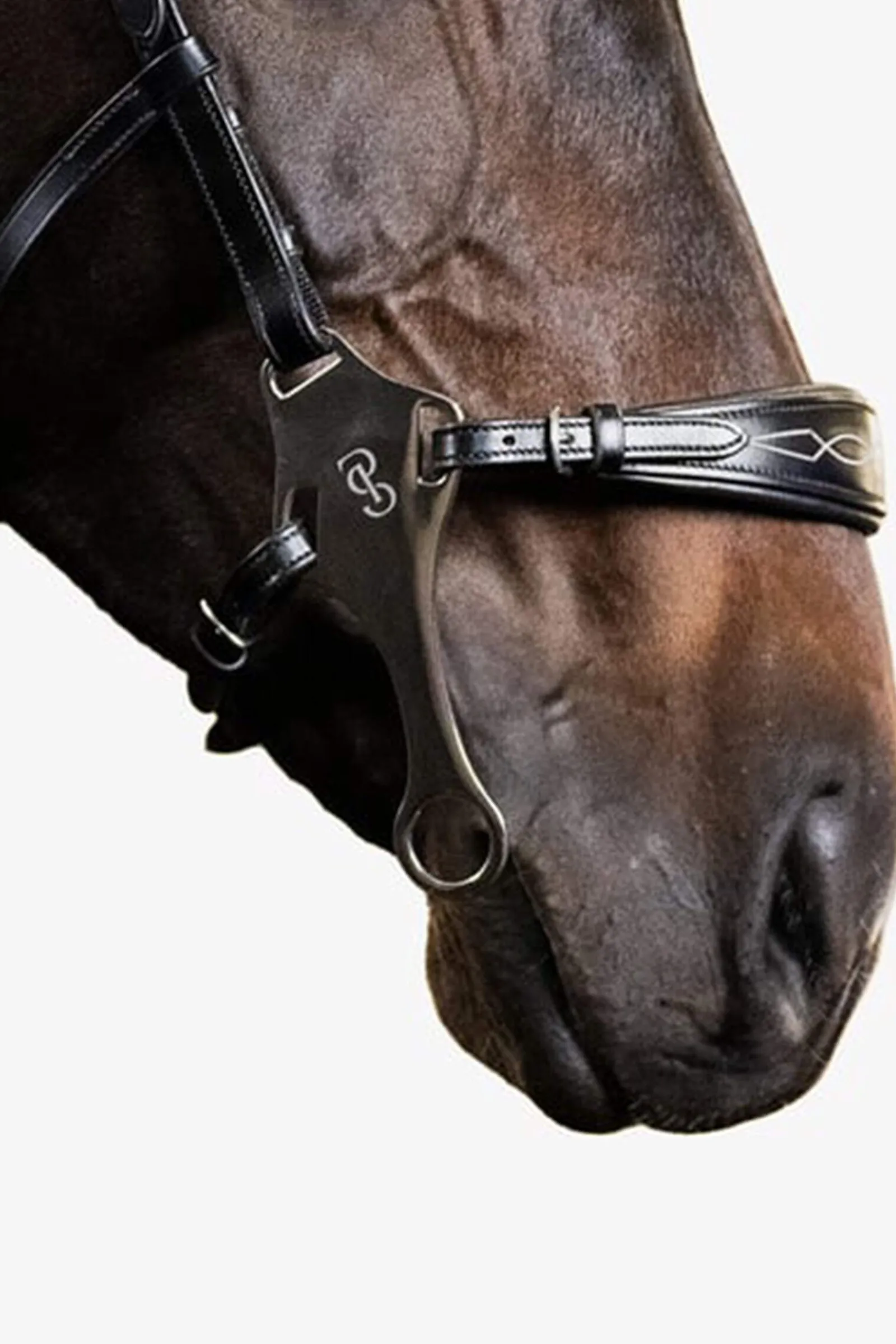 Discount PS of Sweden Bridle Hackamore Sport Hackamores|Bridles & Nosebands