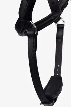 Hot PS of Sweden Bridle King Edward Bridles & Nosebands