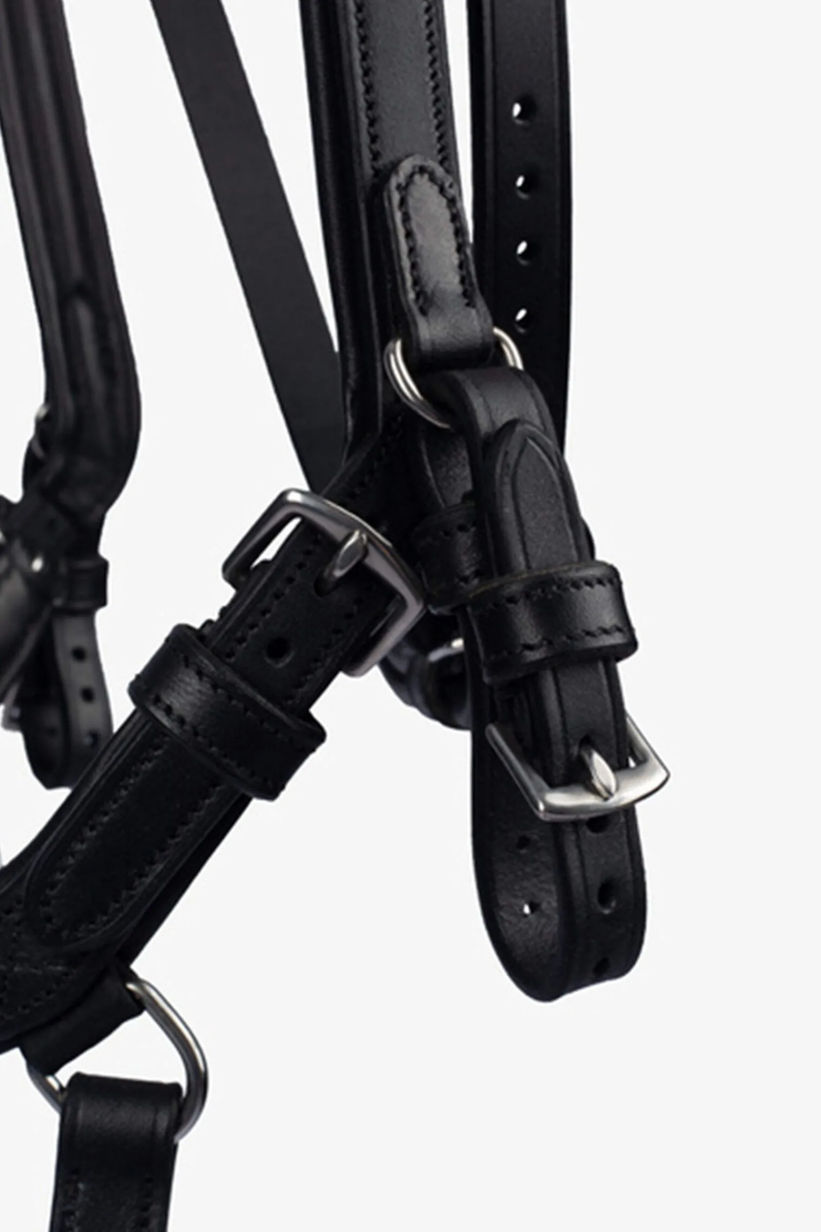 Hot PS of Sweden Bridle King Edward Bridles & Nosebands