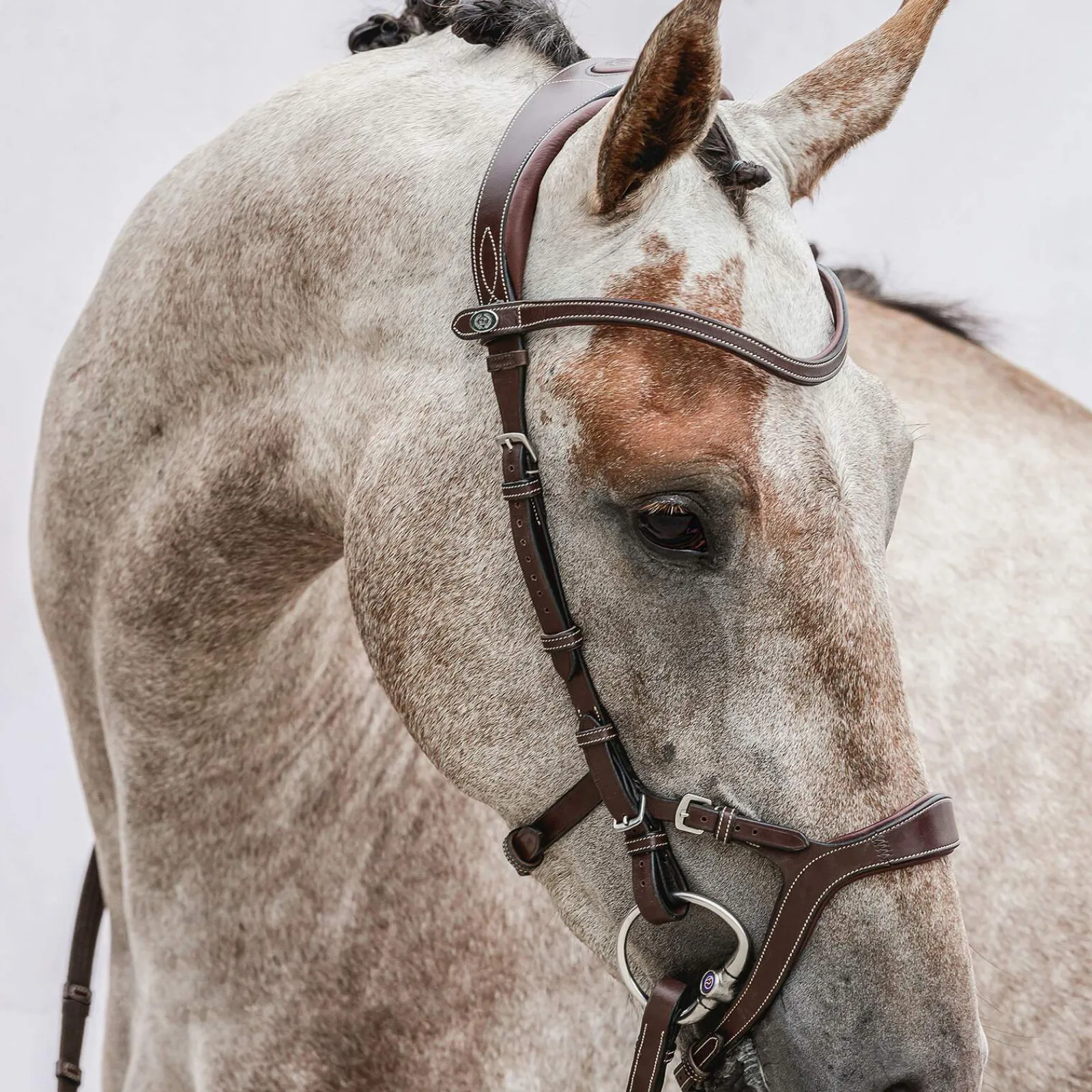 Fashion PS of Sweden bridle Nirak Pony Bridles & Halters|Bridles & Nosebands