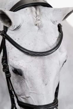 New PS of Sweden Bridle Ocala Bridles & Nosebands