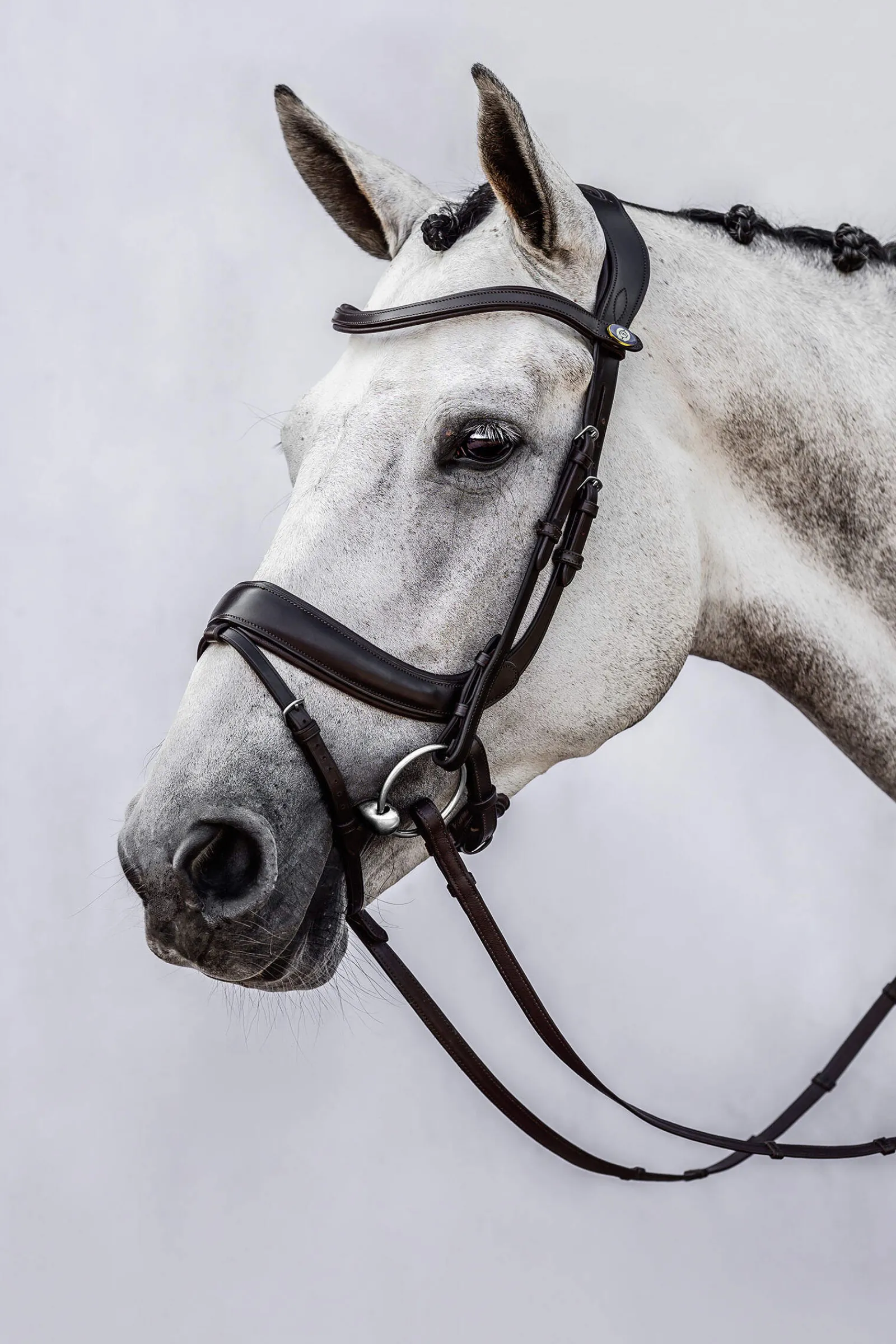 Clearance PS of Sweden bridle Paladin Bridles & Nosebands