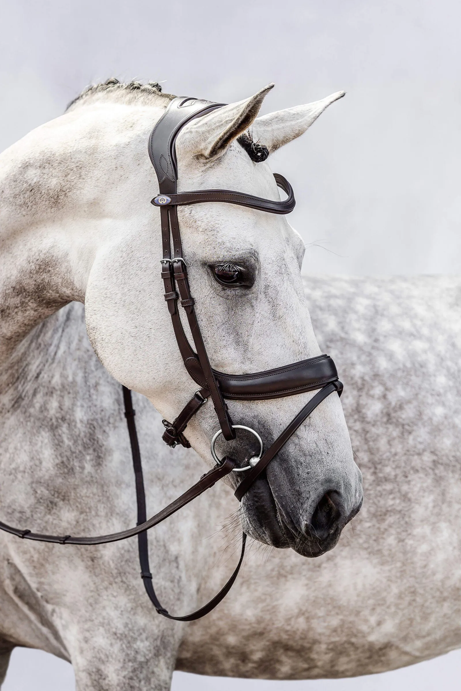 Clearance PS of Sweden bridle Paladin Bridles & Nosebands