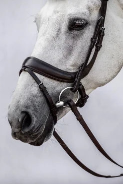 Clearance PS of Sweden bridle Paladin Bridles & Nosebands