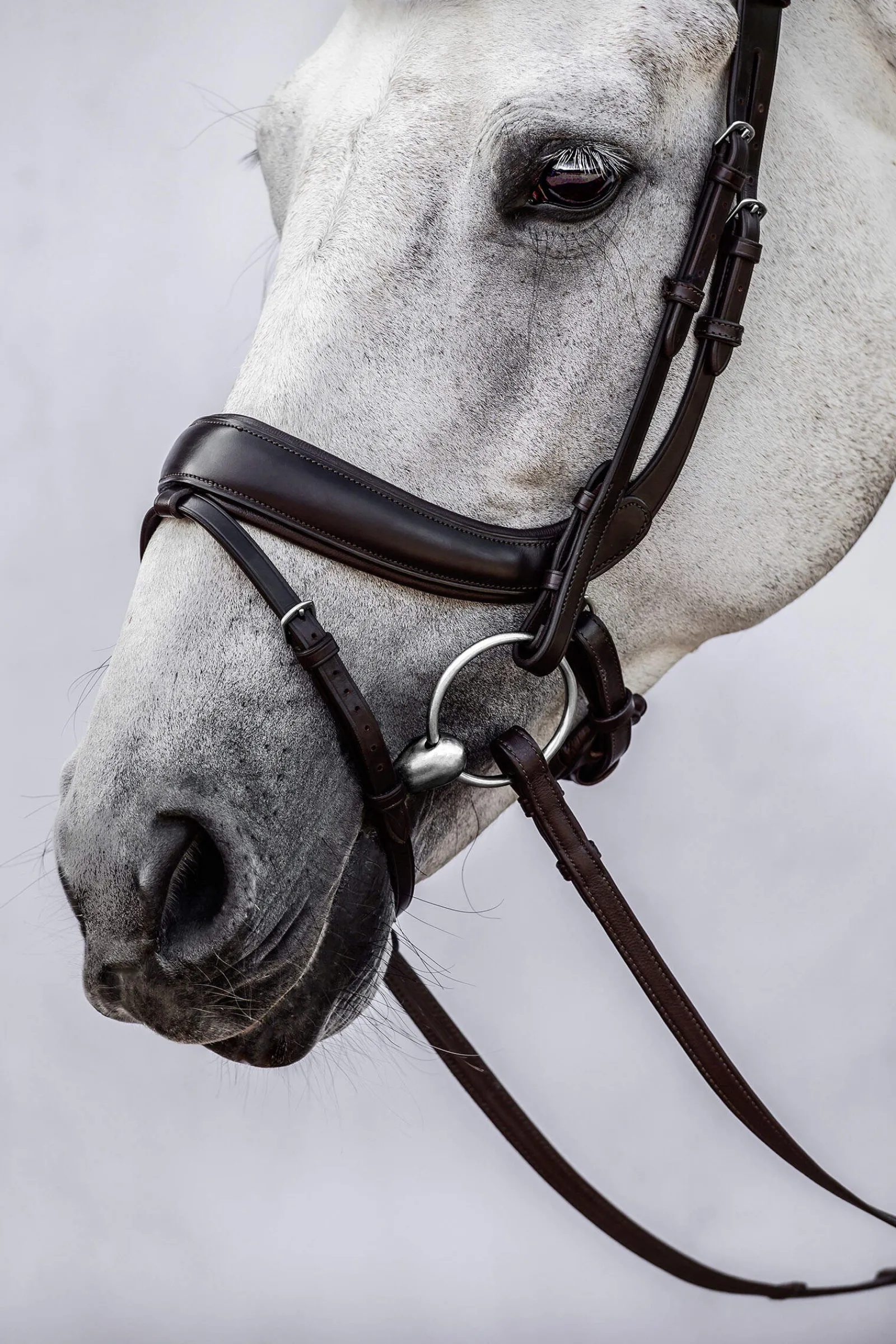 Clearance PS of Sweden bridle Paladin Bridles & Nosebands