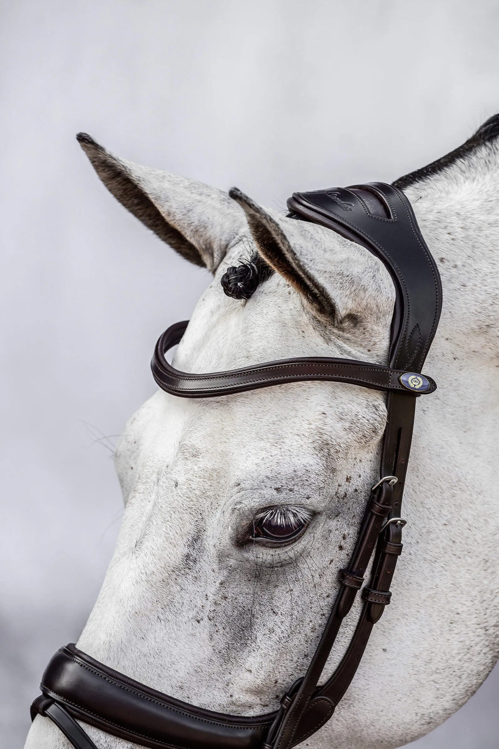 Clearance PS of Sweden bridle Paladin Bridles & Nosebands