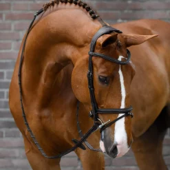 Best PS of Sweden bridle Stockholm Pony Bridles & Halters|Bridles & Nosebands