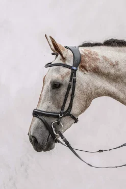 Online PS of Sweden Jump Off Bridle Pony Bridles & Halters|Bridles & Nosebands