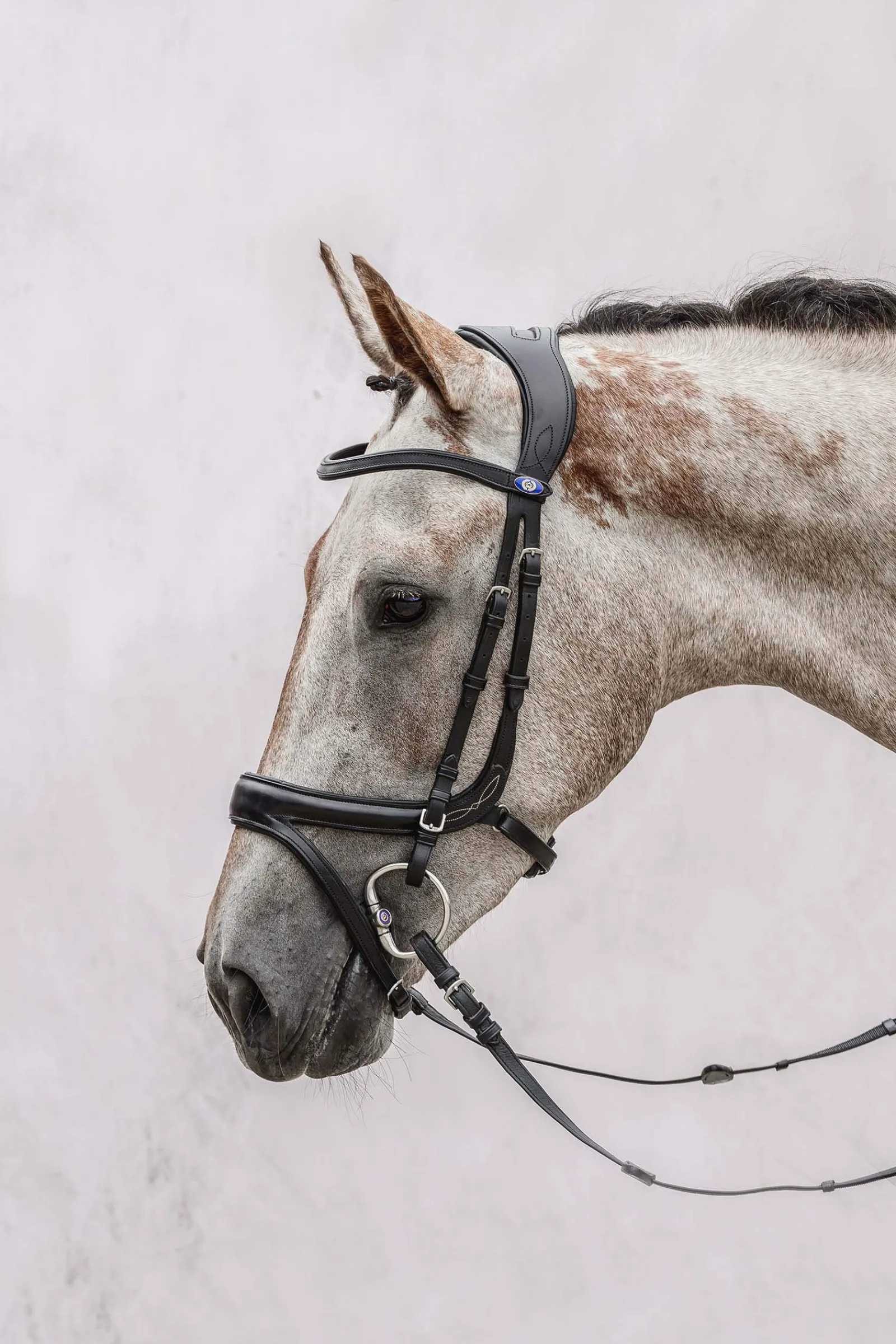 Online PS of Sweden Jump Off Bridle Pony Bridles & Halters|Bridles & Nosebands
