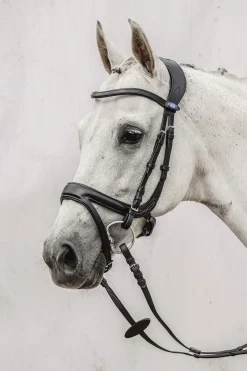 Online PS of Sweden Jump Off Bridle Pony Bridles & Halters|Bridles & Nosebands