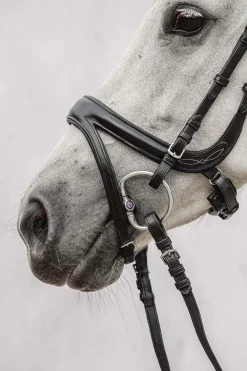 Online PS of Sweden Jump Off Bridle Pony Bridles & Halters|Bridles & Nosebands