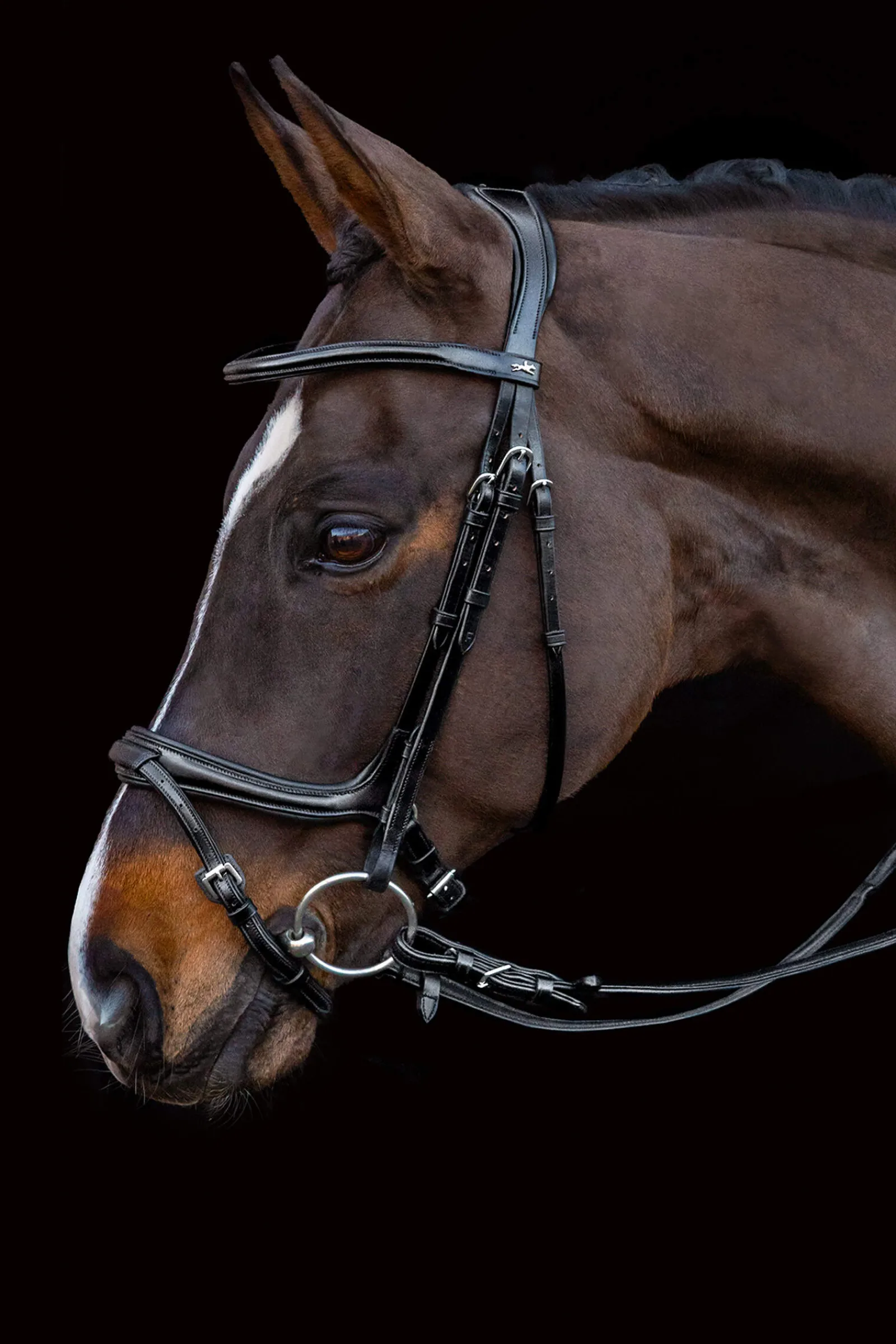 Outlet Schockemöhle Sports Ancona Select Bridle Pony Bridles & Halters|Bridles & Nosebands