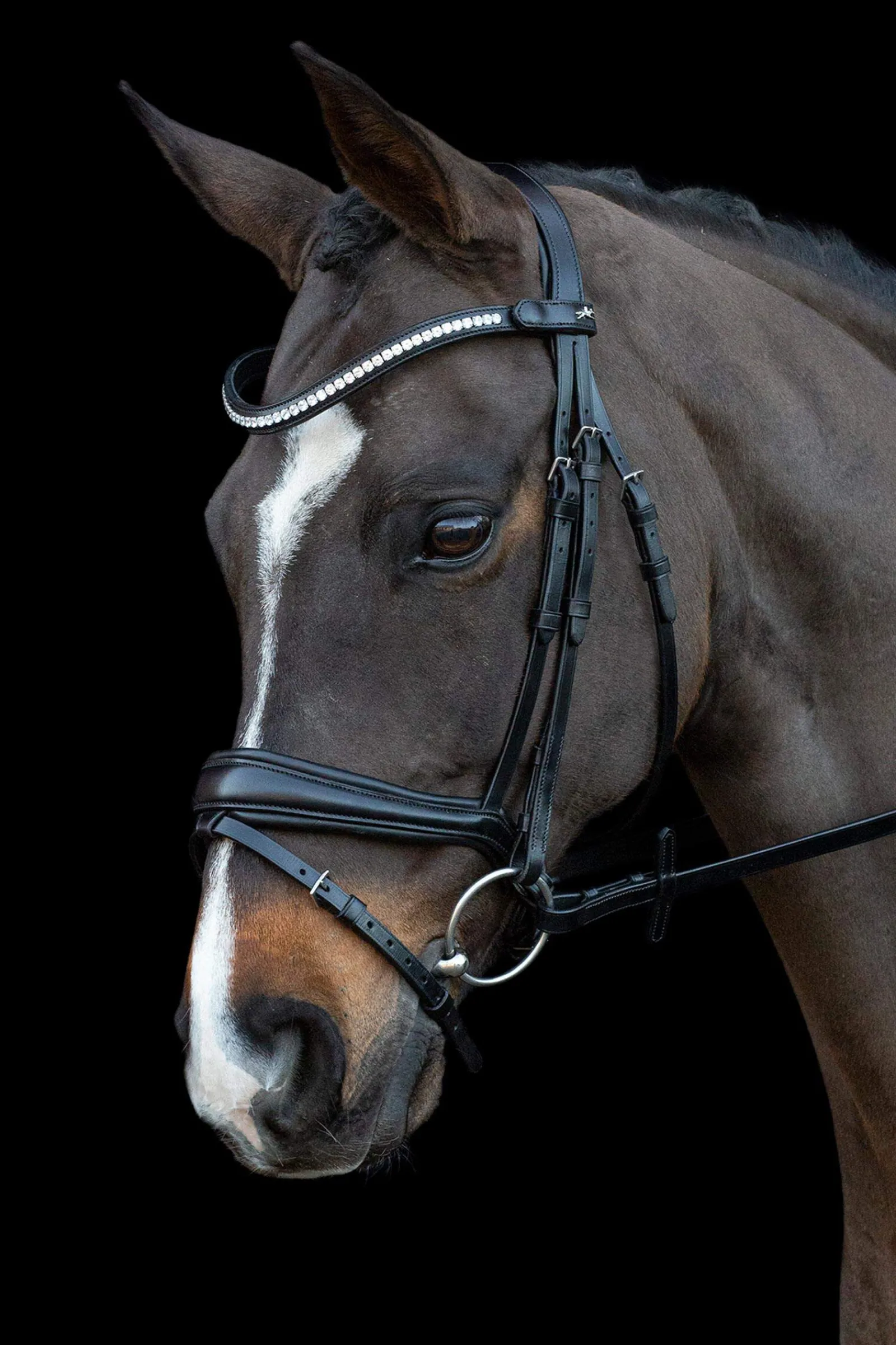 Hot Schockemöhle Sports Charleston Bridle Pony Bridles & Halters|Bridles & Nosebands
