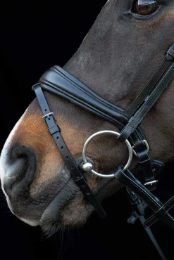 Hot Schockemöhle Sports Charleston Bridle Pony Bridles & Halters|Bridles & Nosebands