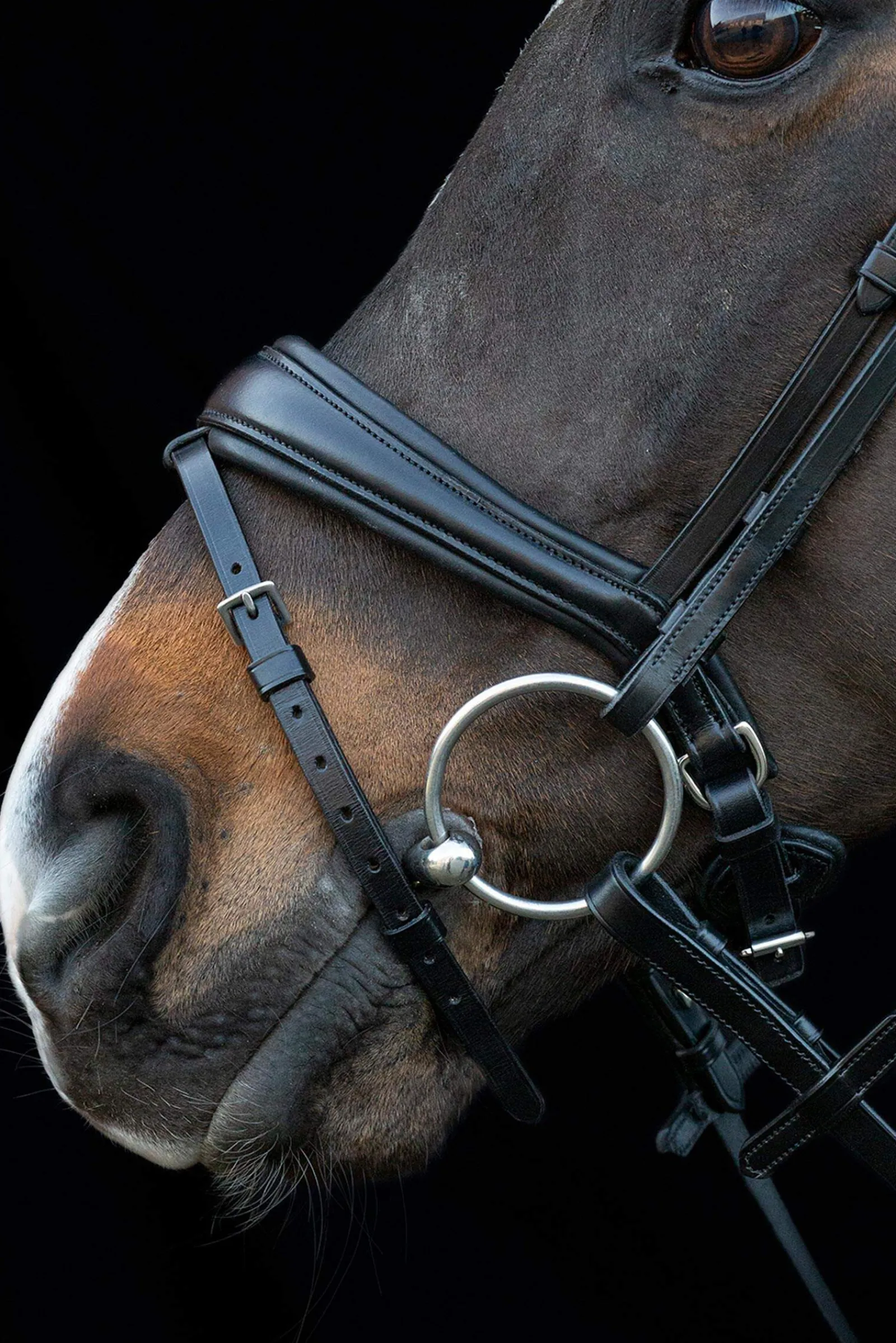 Hot Schockemöhle Sports Charleston Bridle Pony Bridles & Halters|Bridles & Nosebands
