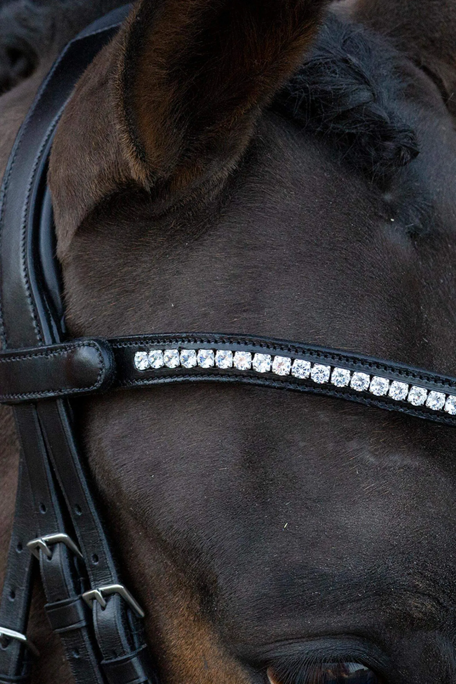 Hot Schockemöhle Sports Charleston Bridle Pony Bridles & Halters|Bridles & Nosebands