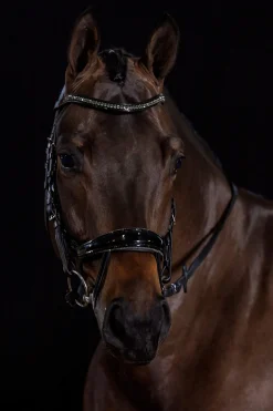 Clearance Schockemöhle Sports Equitus Beta Glam Bridle Pony Bridles & Halters|Bridles & Nosebands