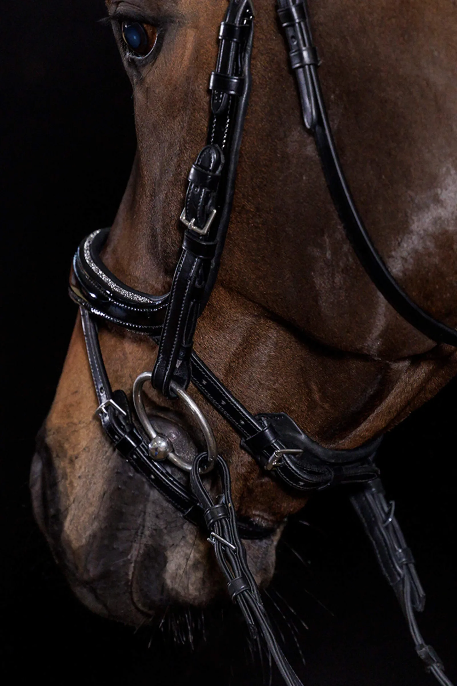 Clearance Schockemöhle Sports Equitus Beta Glam Bridle Pony Bridles & Halters|Bridles & Nosebands